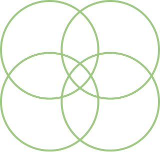 Icon 8