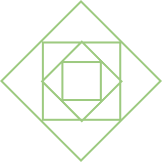 Icon 8