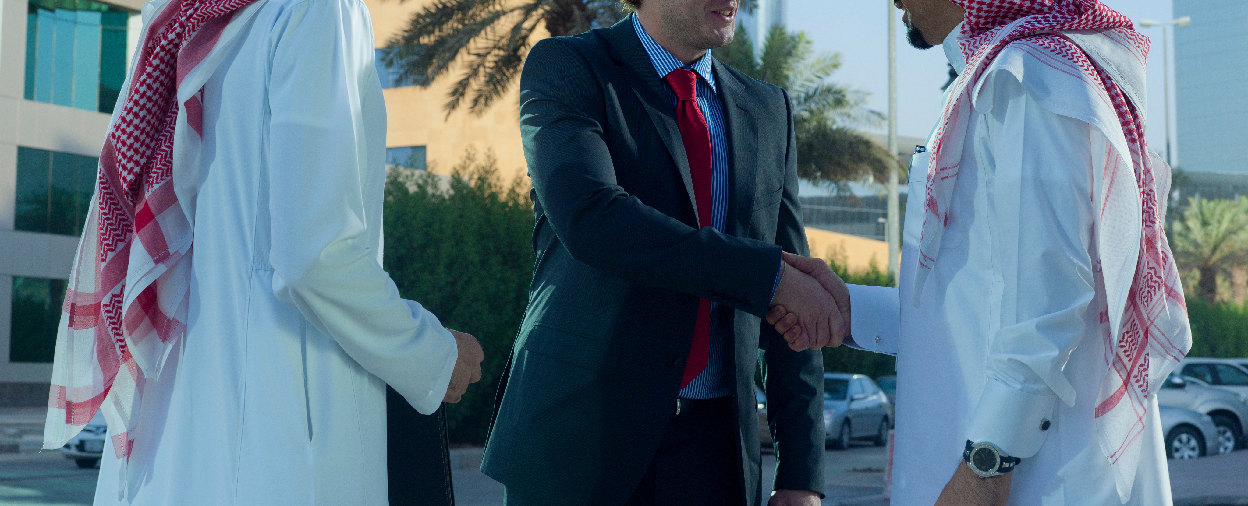 Saudi flag and business partners